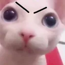 angery