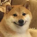 doggo_Smile