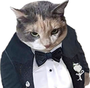 CatTuxedoStareW Discord emoji