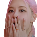 RoseOmg Discord emoji
