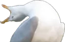 inhale