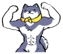0ShibaStrong