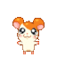 SC_HamtaroBubble Discord emoji