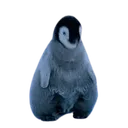 pengnot_uwu Discord Emoji