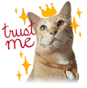 trustme