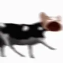 6281_Polishbop