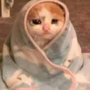 mishisad_fn