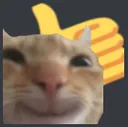 catyes