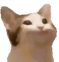 catplobbers