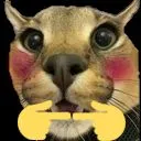 floppaflushed floppaflushed