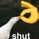 shut