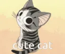 cutecat