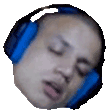 T1Sleeper