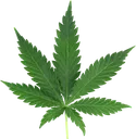 420