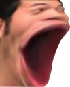 megapog