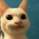 kira_smile kira_smile