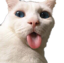 sc_billie Discord emoji