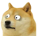Doge Wtf Discord Emoji