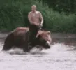 putin_riding_bear