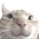 ch_hehappy Discord emoji