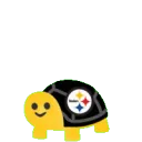 steelers_turtle_stack