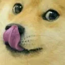 slurps