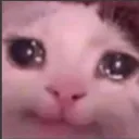 Sadkitty sadkitty Discord Emoji