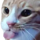 soonieblep Discord Emoji