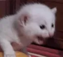 emoji_7