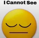 icannotsee
