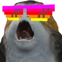 rainbowshades