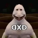 DXD DXD