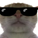 CoolKot Discord Emoji