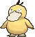 Psyduck
