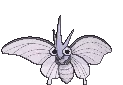 Venomoth
