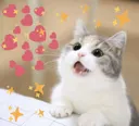 paxmoji