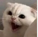 emoji_179