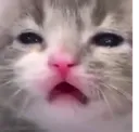 emoji_18