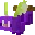 purplestarbuncle
