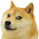 Doge