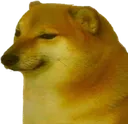 cheems cheems