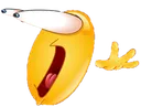0_0 0_0