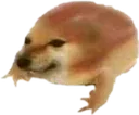 drog