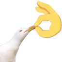 shut shut
