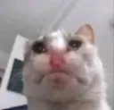 sad3