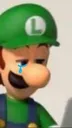 SadLuigi Discord Emoji