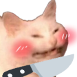 AyyyKnife_Dw Discord emoji