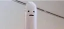 swanhead