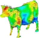 aerodynamicCow