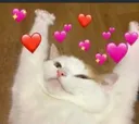 biglove